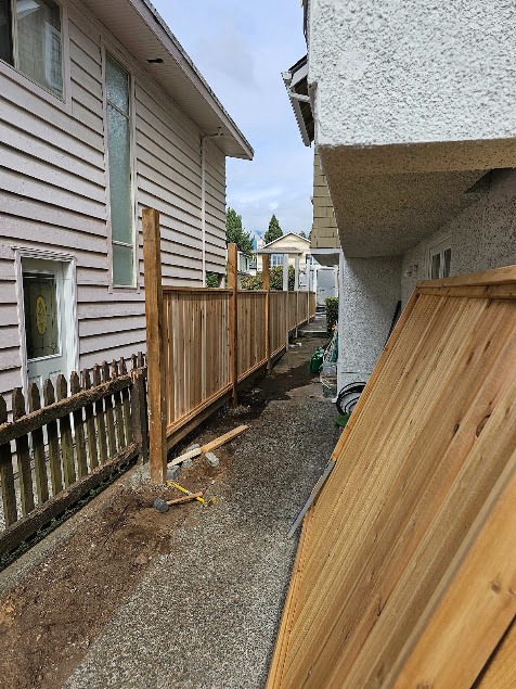 Cedar fence panels being installed in a narrow Vancouver side yard