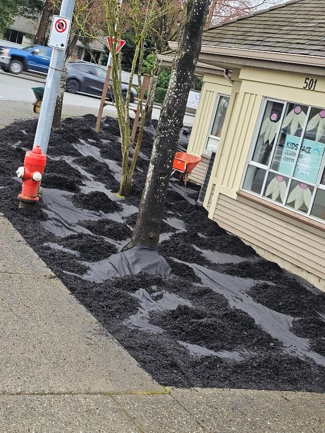Landscape fabric and mulch staged during a bed rebuild