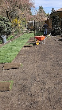 Sod rolls staged on prepared soil in a Vancouver backyard