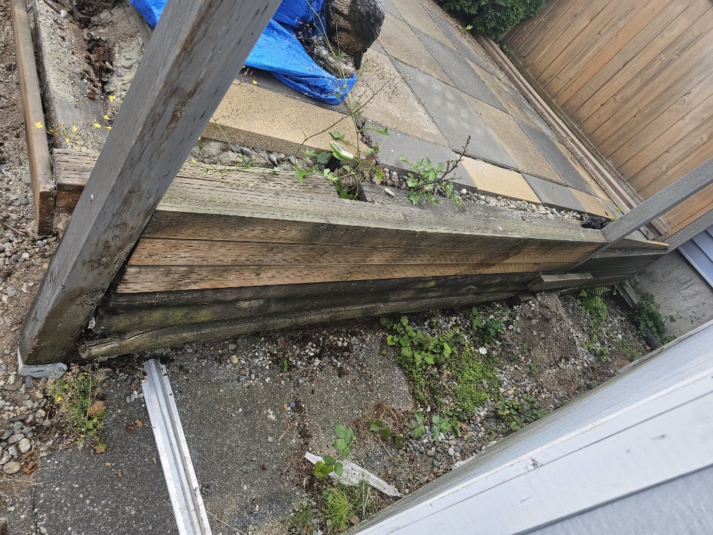 Rotting timber retaining wall under a paver patio, with weeds growing through the boards