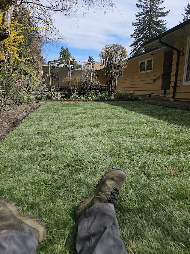 Finished fresh sod lawn ready for the season